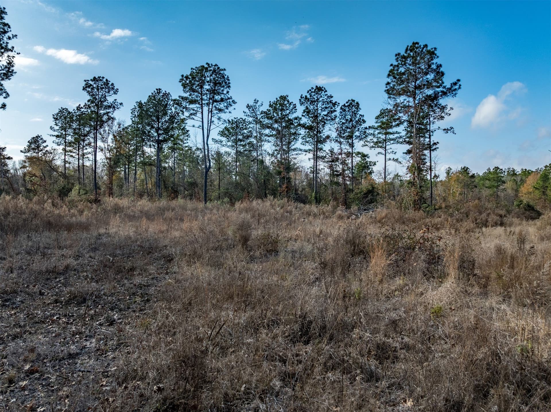 74.6 acres in Harrison County - photo 10