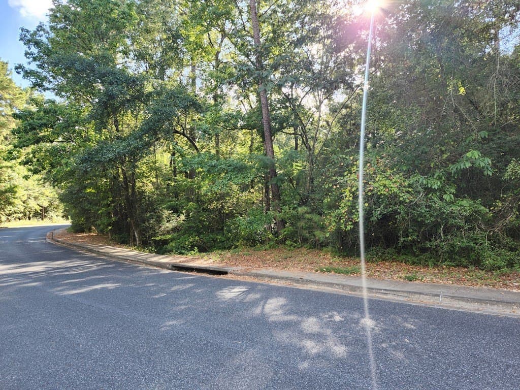 4.98 acres in Texas County gallery image 4