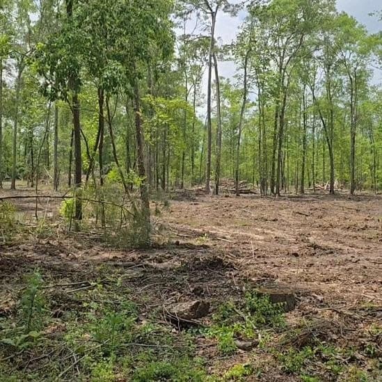 2.45 acres in Texas County gallery image 3