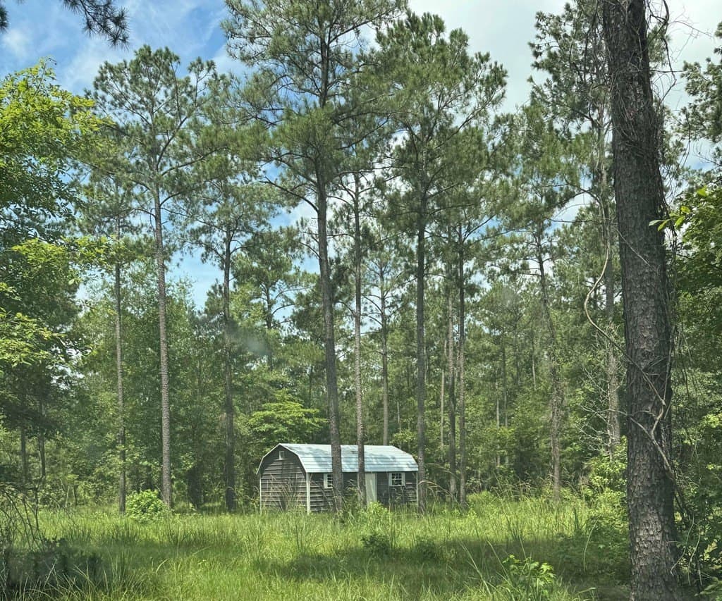 90 acres in Texas County featured view
