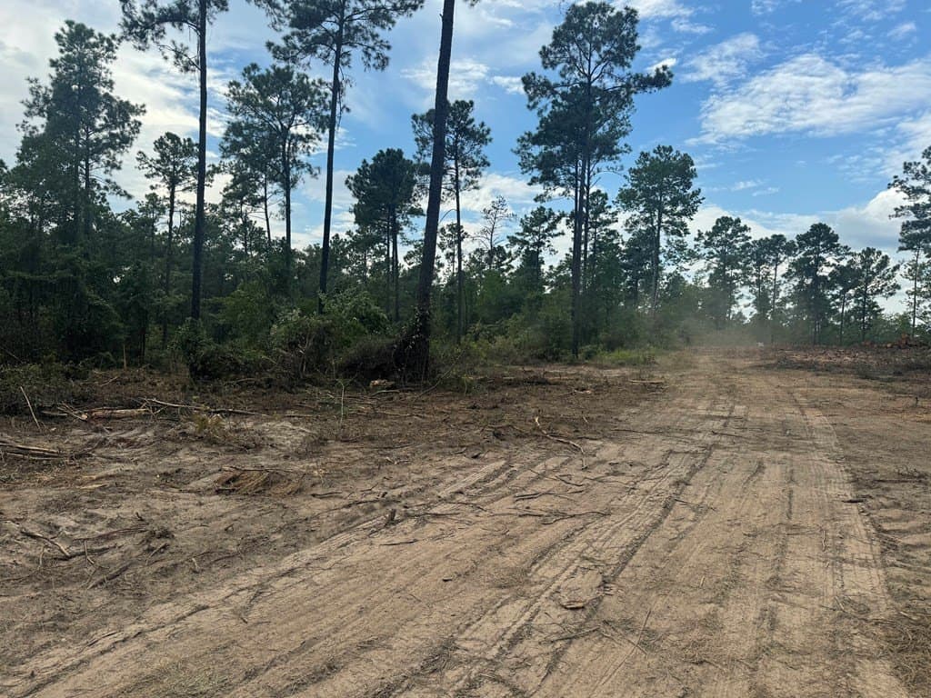 90 acres in Texas County gallery image 4