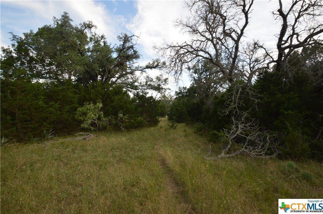 23.19 acres in Lampasas County - photo 11