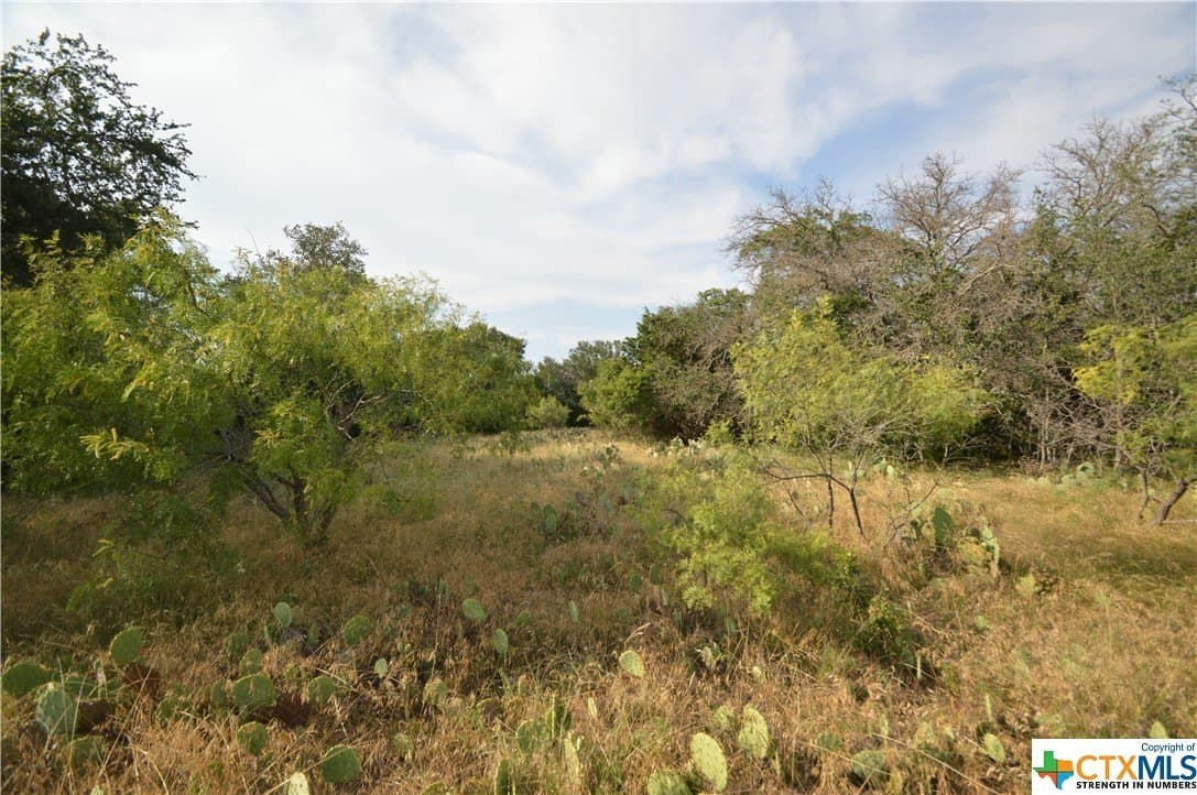 23.19 acres in Lampasas County - photo 5