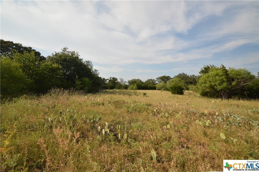 23.19 acres in Lampasas County - photo 3