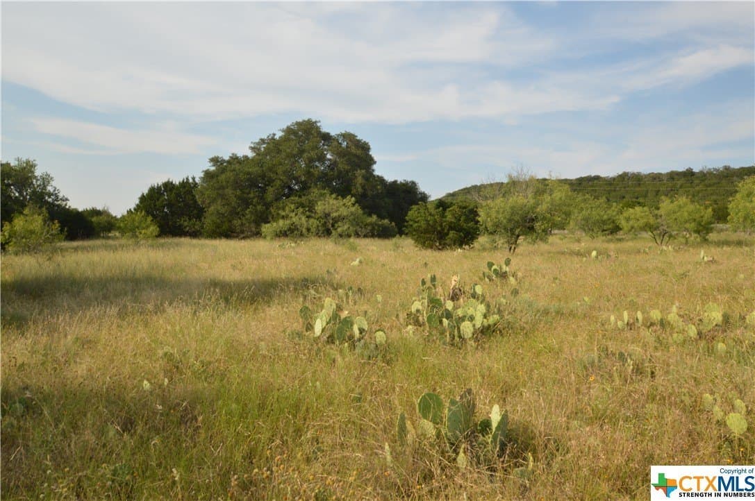 23.19 acres in Lampasas County - photo 7