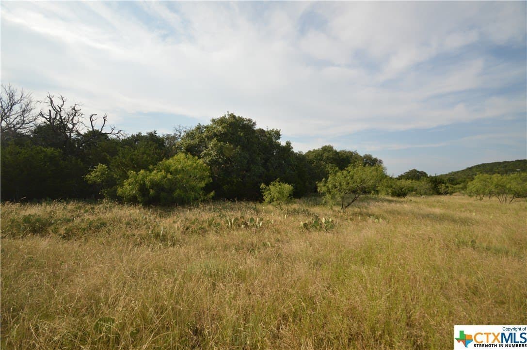 23.19 acres in Lampasas County - photo 6