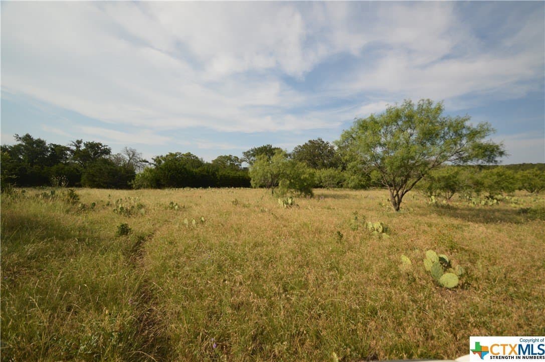 23.19 acres in Lampasas County - photo 4