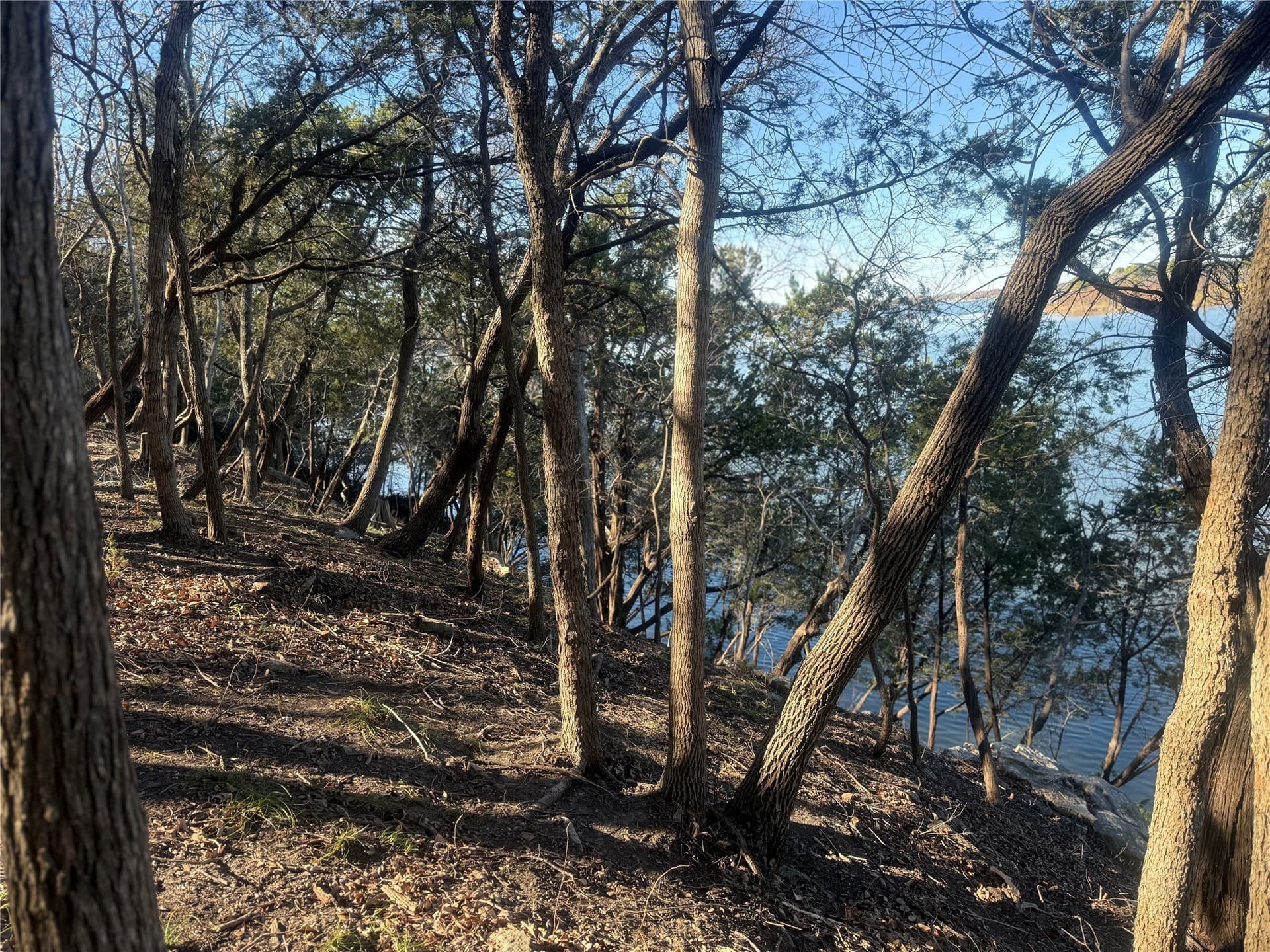 0.34 acres in Hood County - photo 17