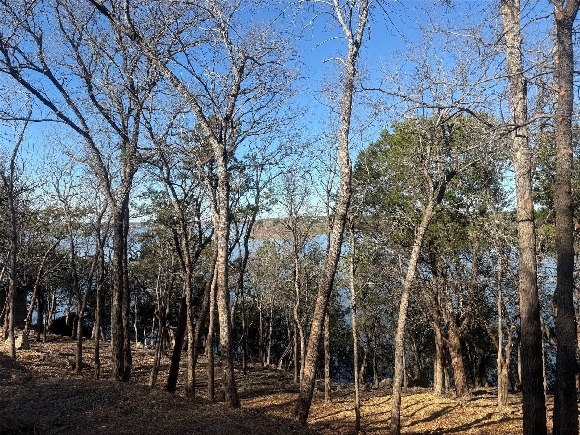 0.34 acres in Hood County - photo 8