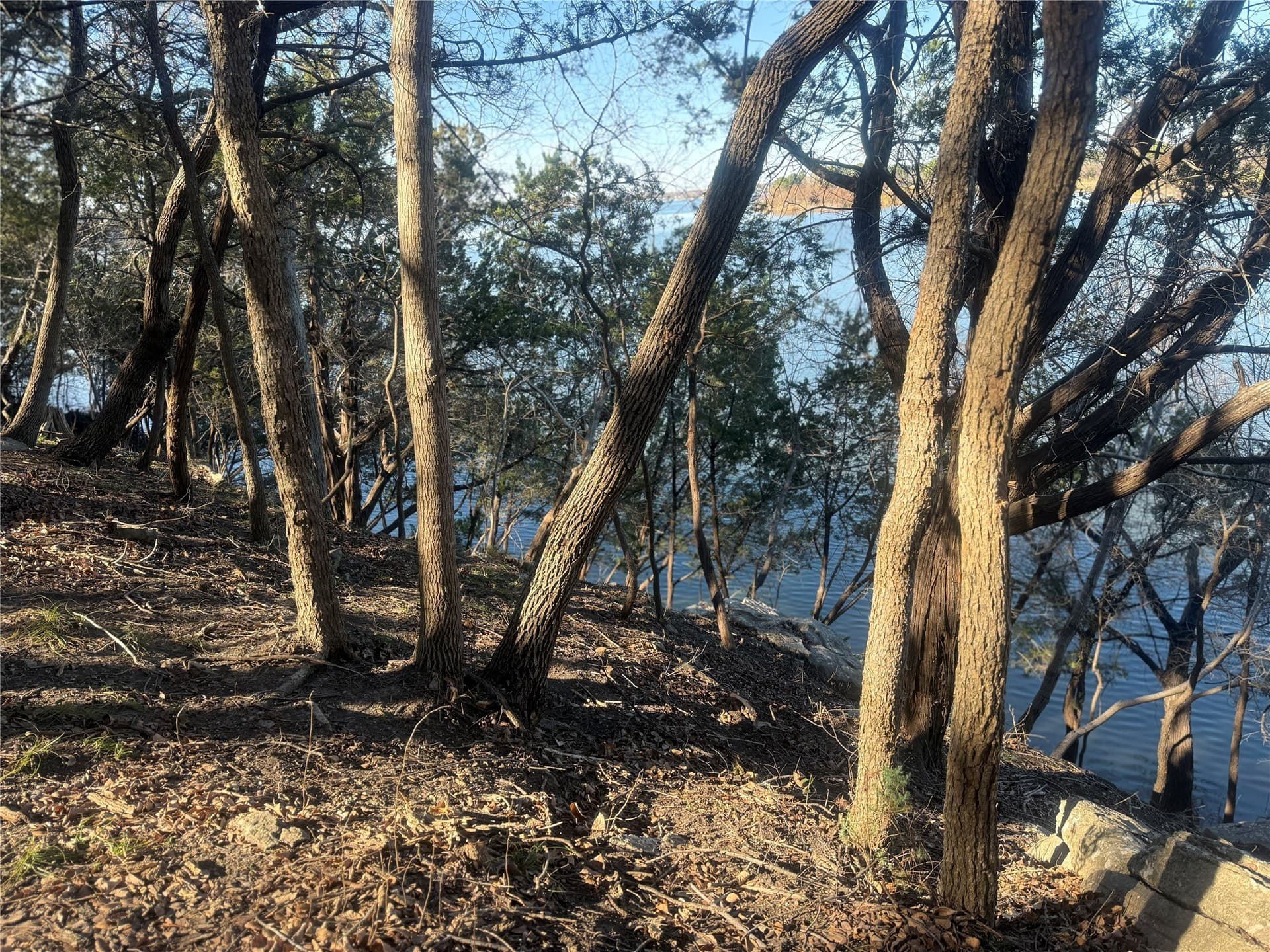 0.34 acres in Hood County - photo 18