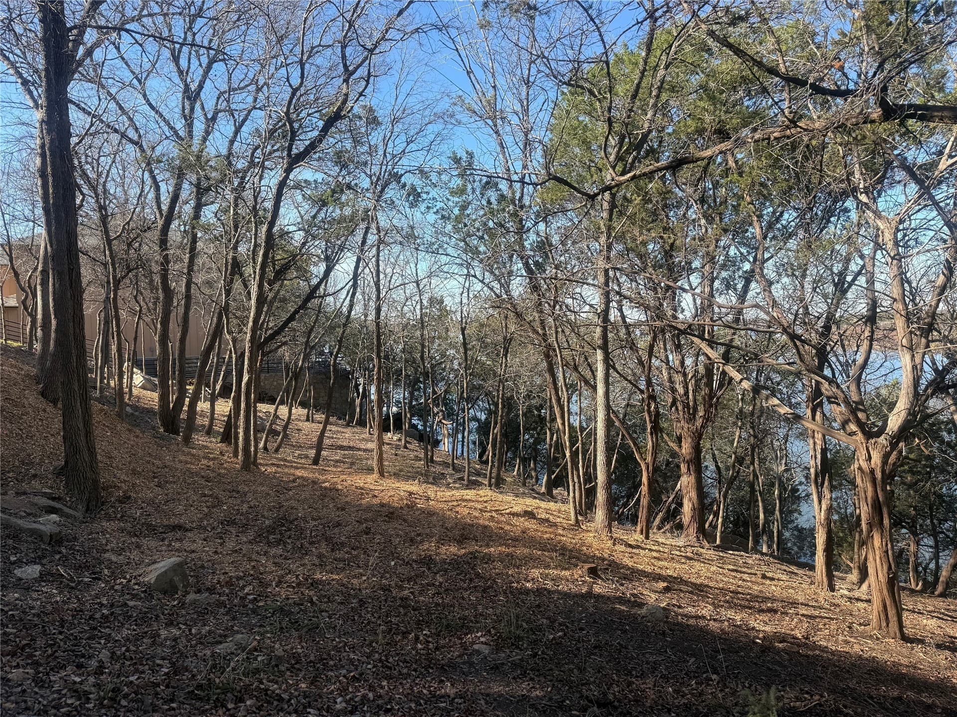 0.34 acres in Hood County - photo 12