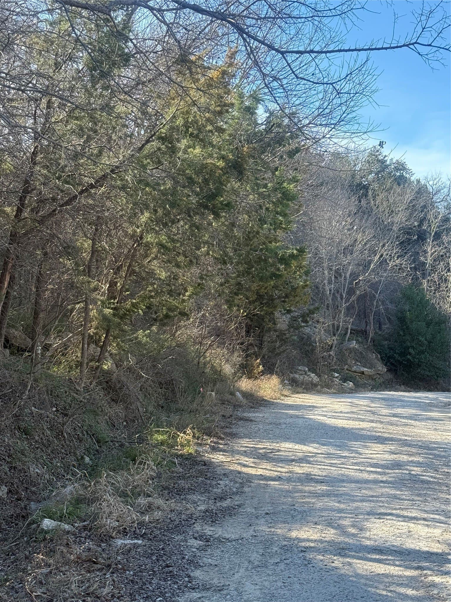 0.34 acres in Hood County - photo 11