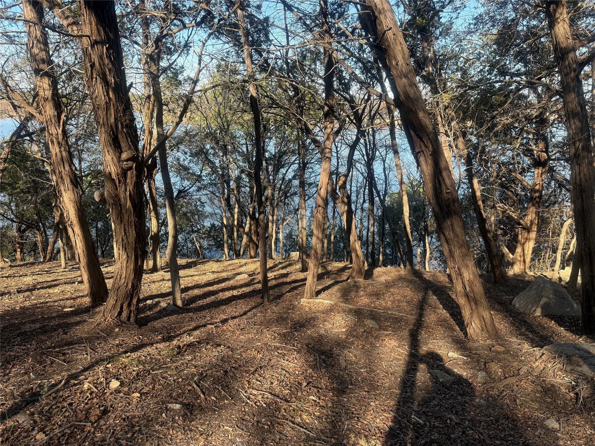 0.34 acres in Hood County - photo 14