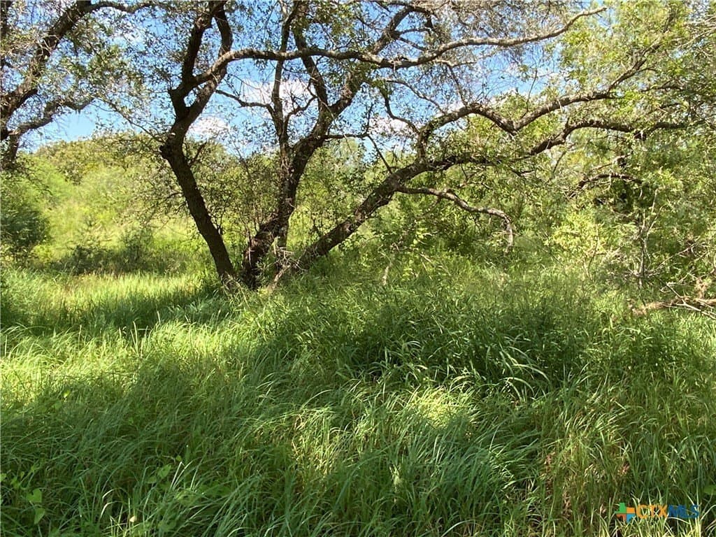 21 acres in San Patricio County - photo 6