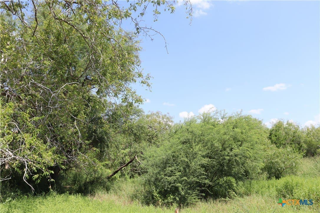21 acres in San Patricio County - photo 18