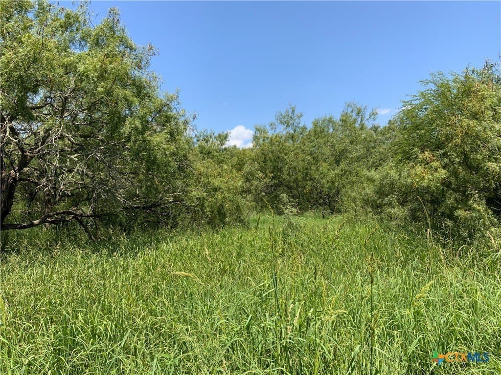 21 acres in San Patricio County - photo 7