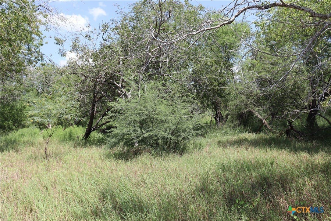 21 acres in San Patricio County - photo 19