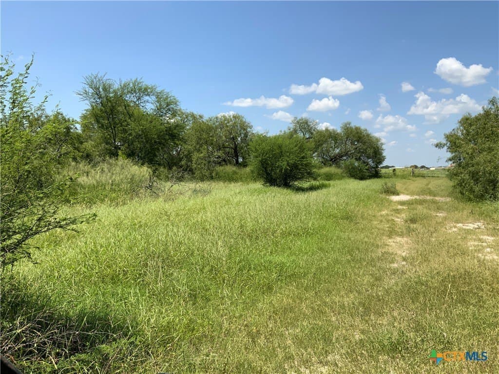 21 acres in San Patricio County - photo 8