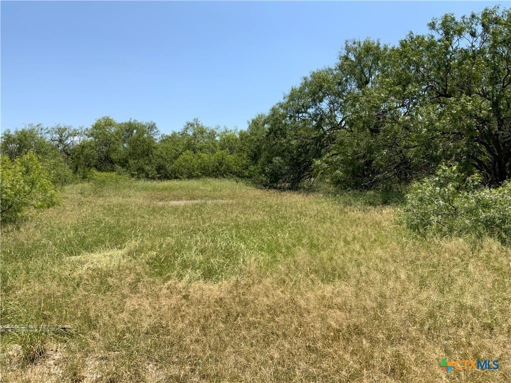 21 acres in San Patricio County - photo 16