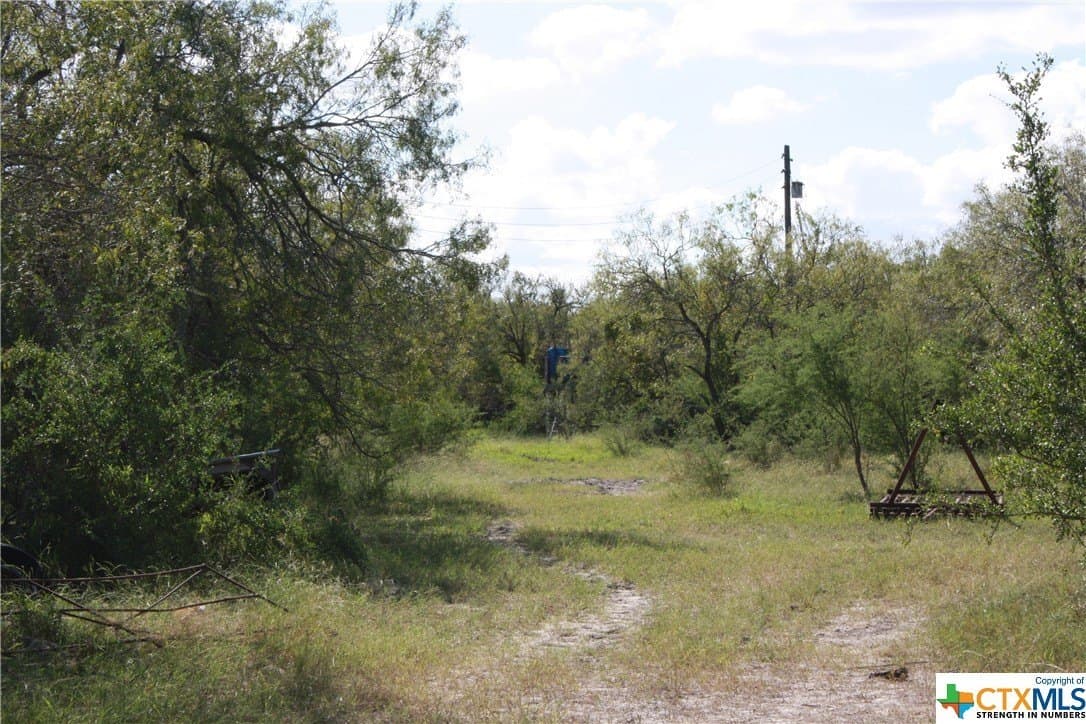 21 acres in San Patricio County - photo 13