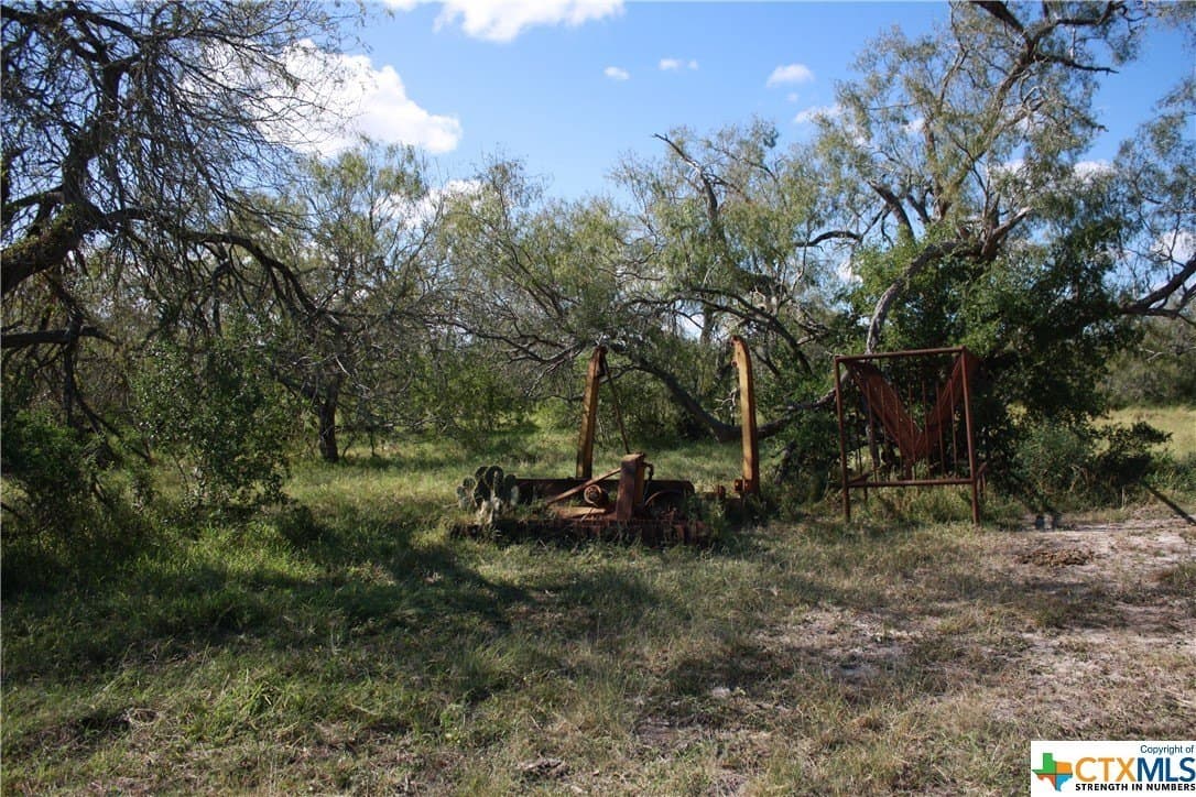 21 acres in San Patricio County - photo 9