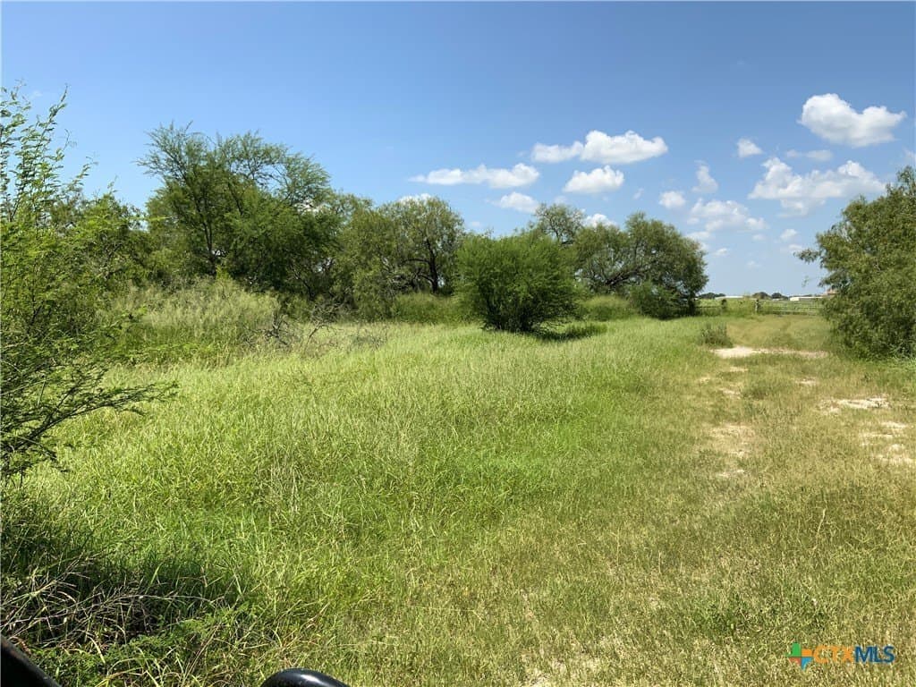 21 acres in San Patricio County - photo 14