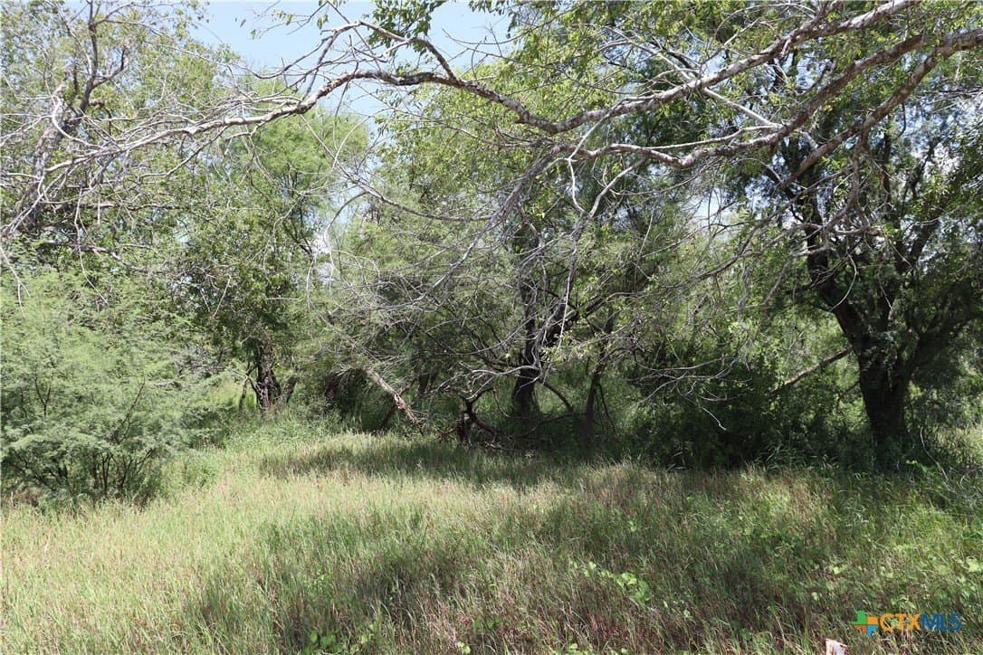 21 acres in San Patricio County - photo 20