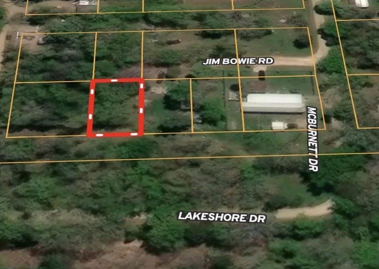 0.12 acres in Fannin County gallery image 2