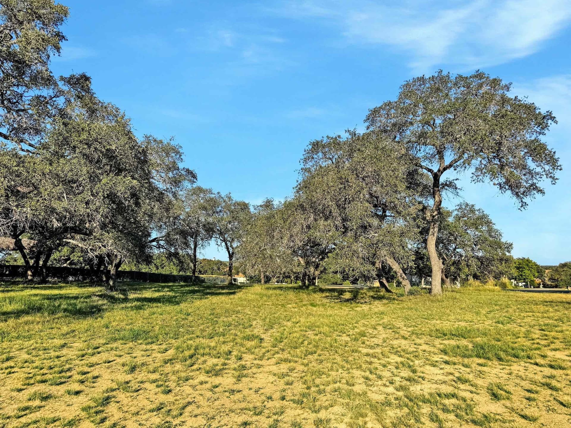 1.14 acres in Travis County - photo 9