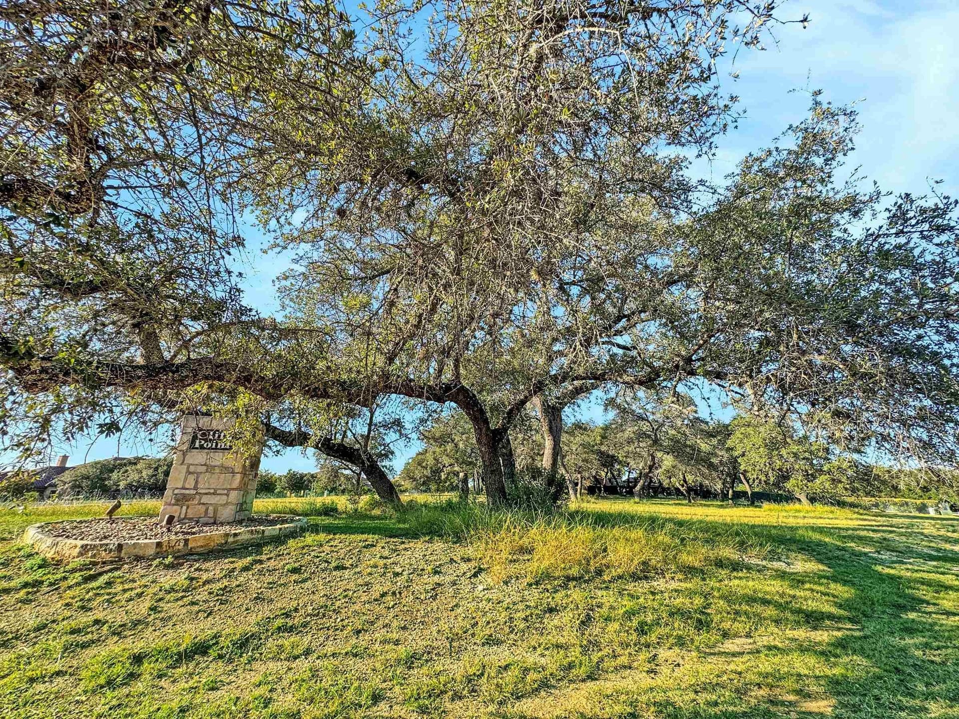 1.14 acres in Travis County - photo 8