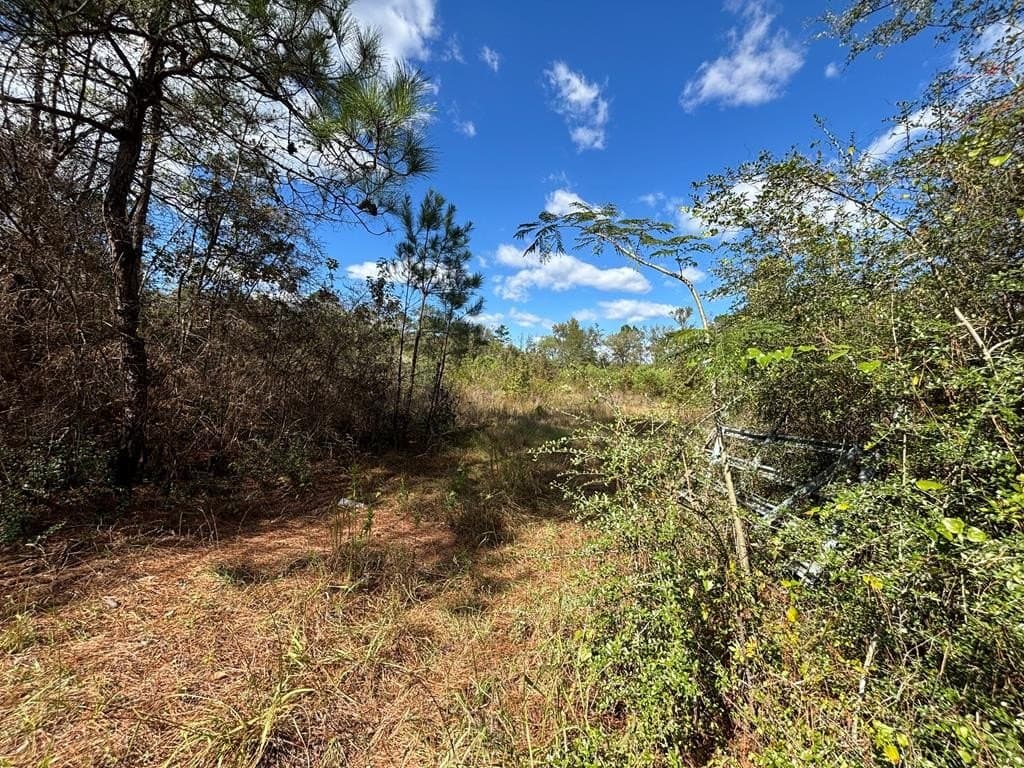10 acres in Texas County