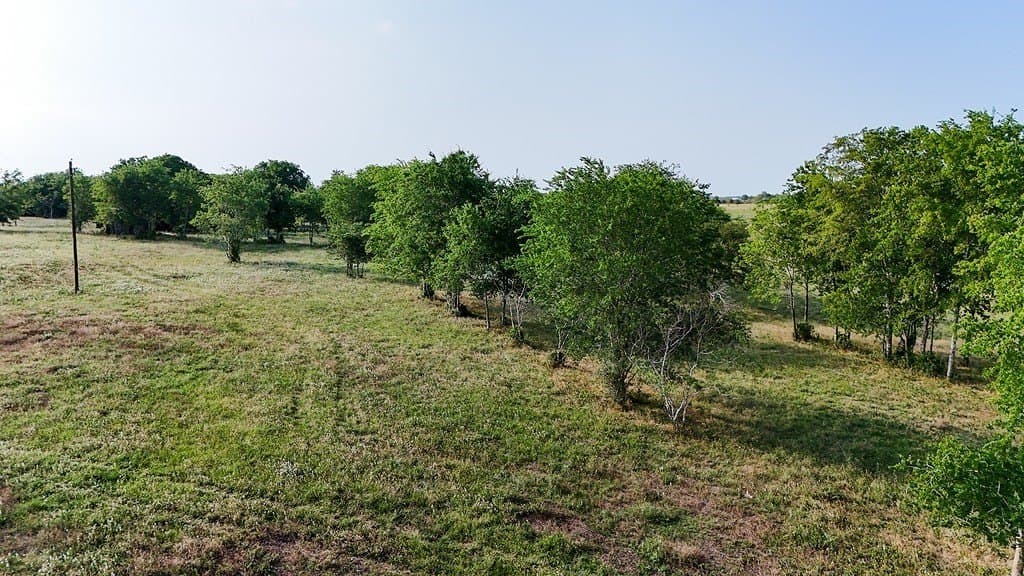 50.74 acres in Washington County gallery image 4