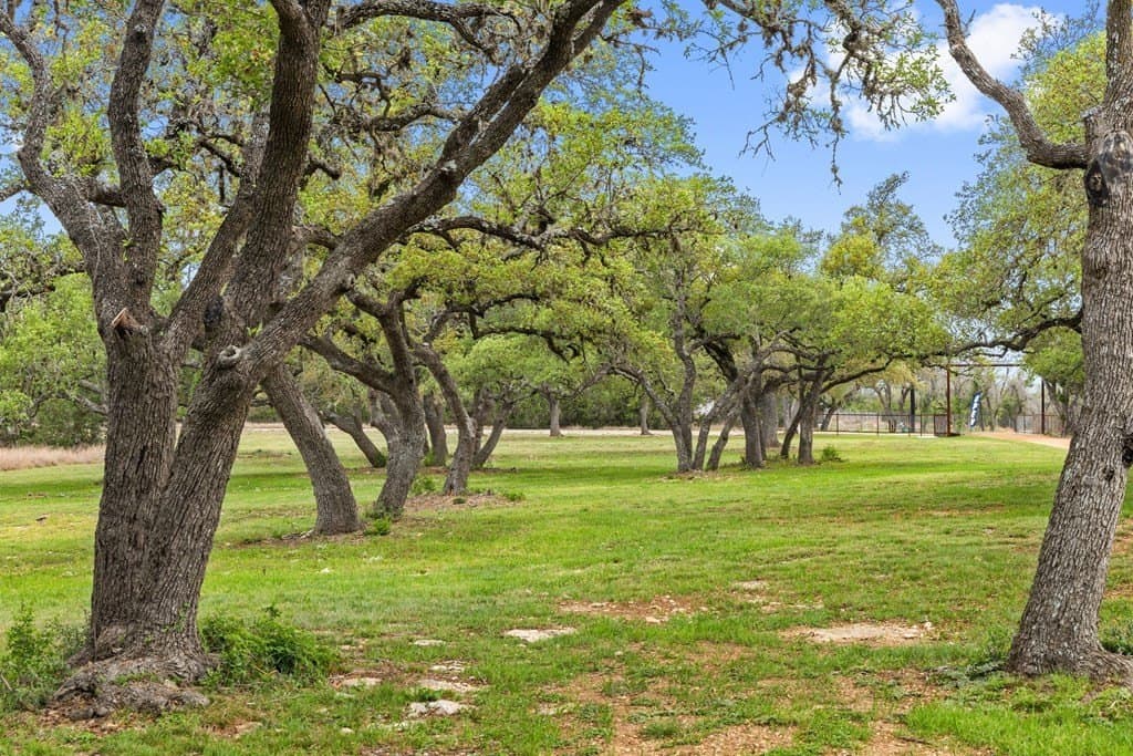 11.01 acres in Blanco County - photo 30