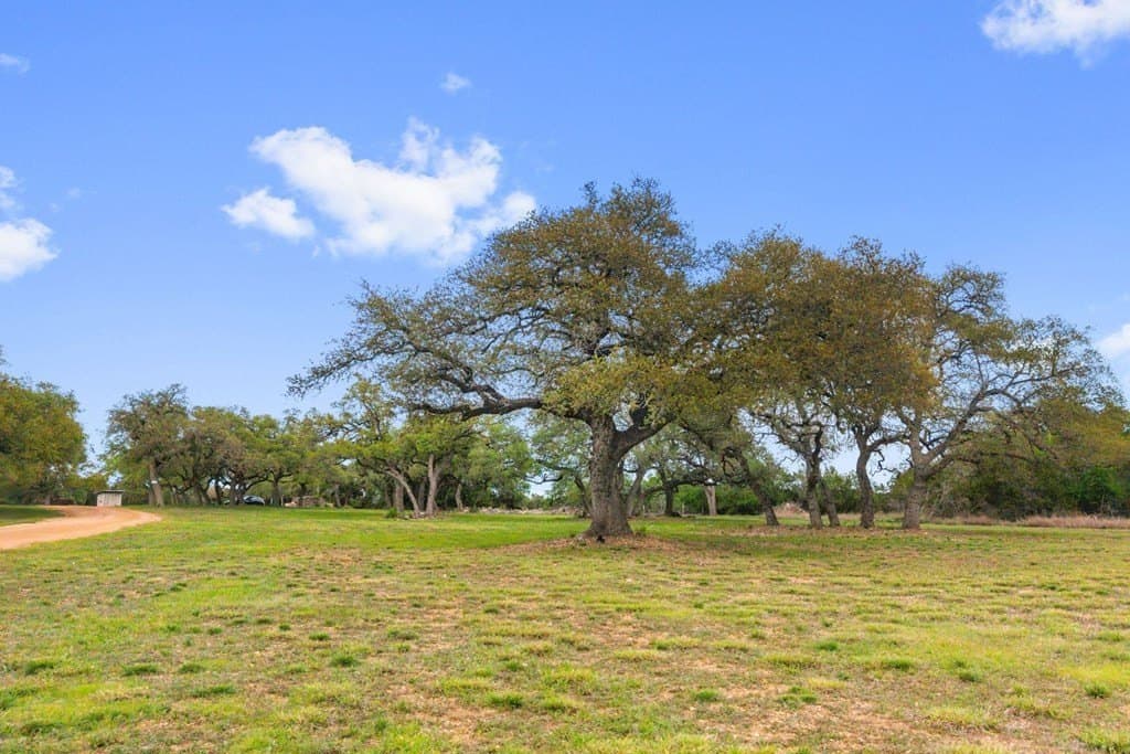 11.01 acres in Blanco County - photo 31