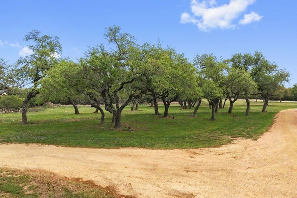 11.01 acres in Blanco County - photo 32