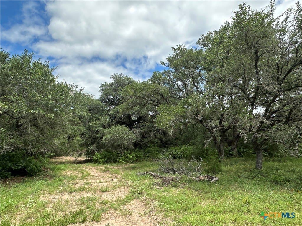 23.71 acres in Victoria County gallery image 3
