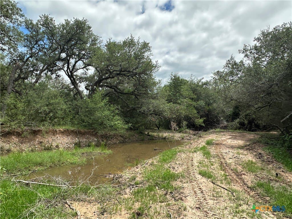 23.71 acres in Victoria County gallery image 4