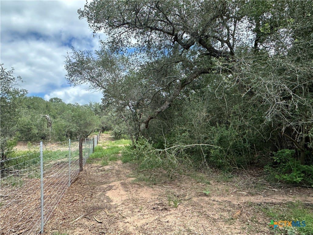 23.71 acres in Victoria County featured view