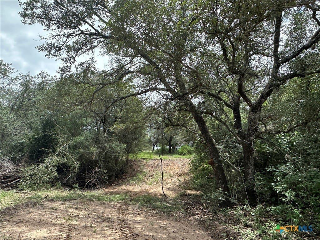 23.71 acres in Victoria County gallery image 2
