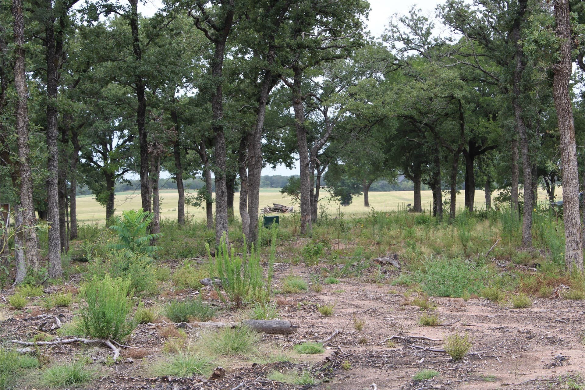 8.22 acres in McLennan County - photo 7