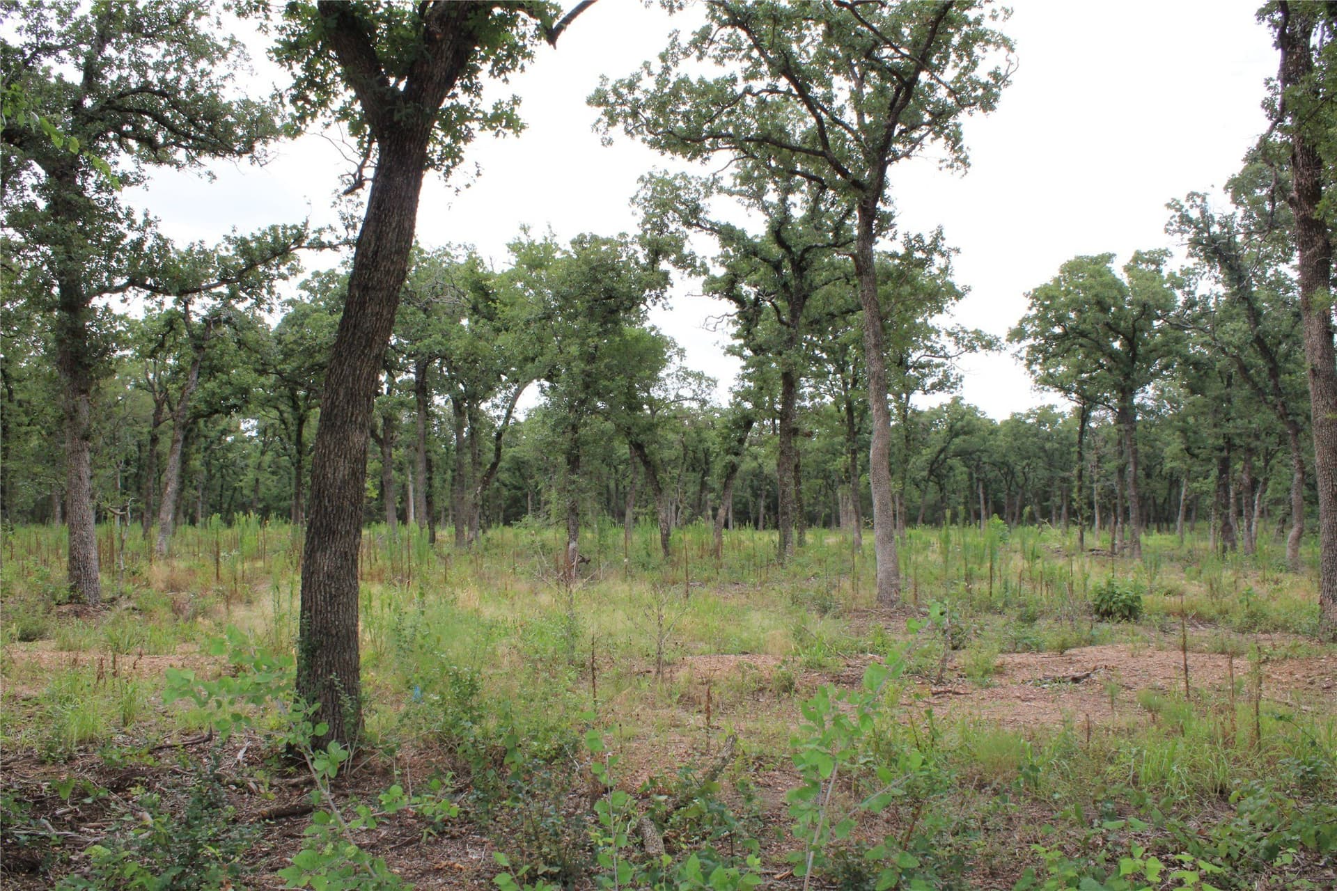 8.22 acres in McLennan County - photo 3