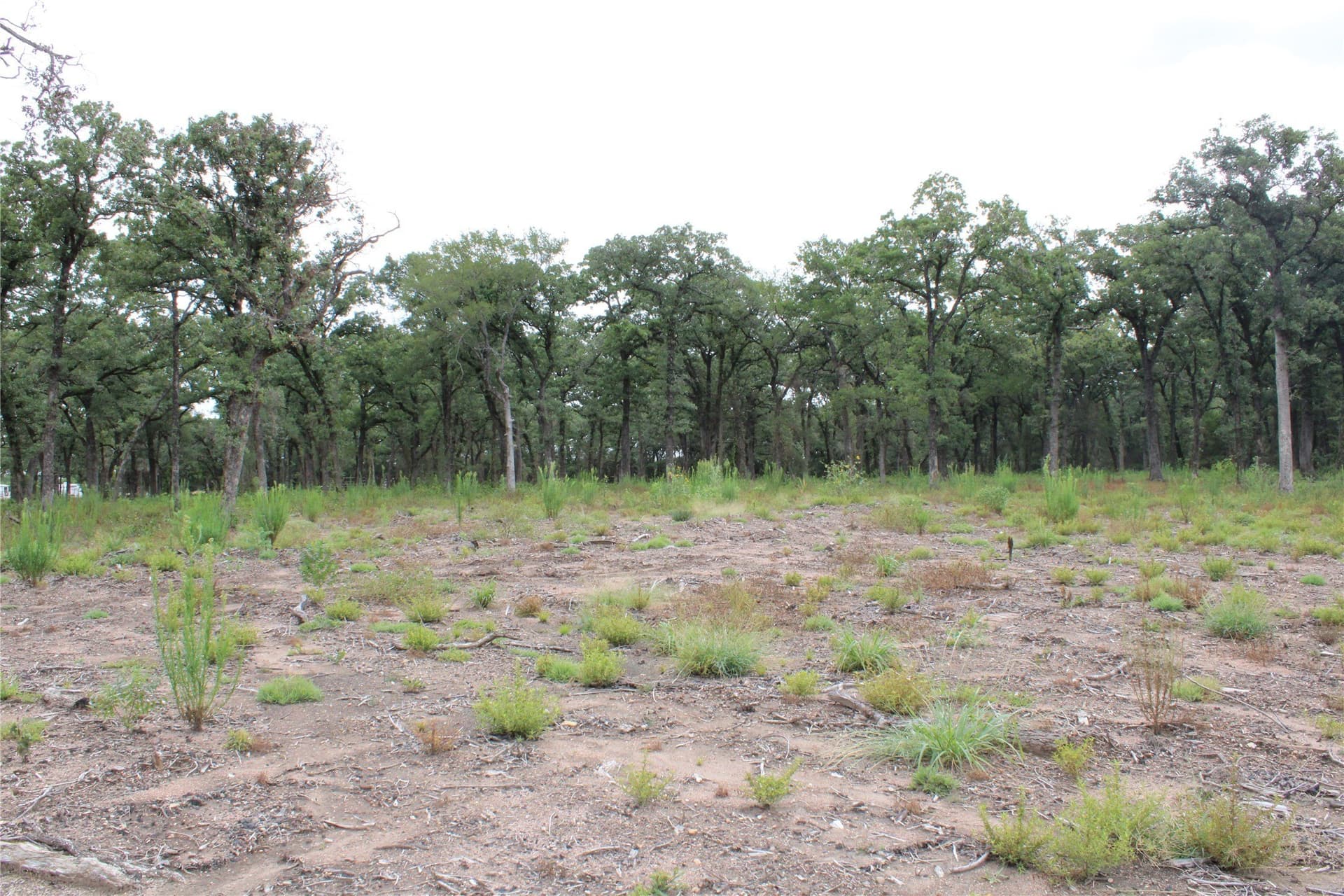 8.22 acres in McLennan County - photo 8
