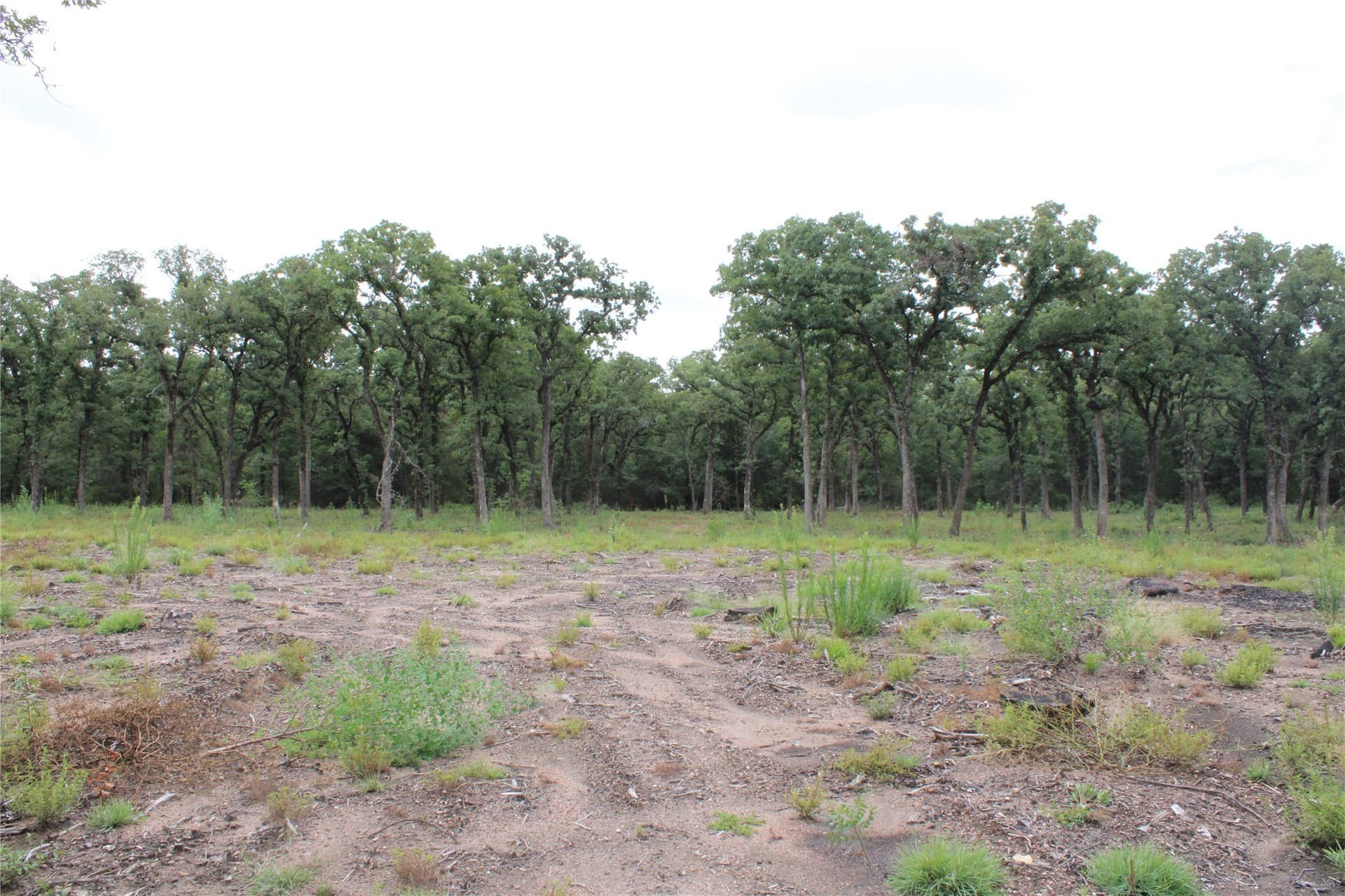 8.22 acres in McLennan County