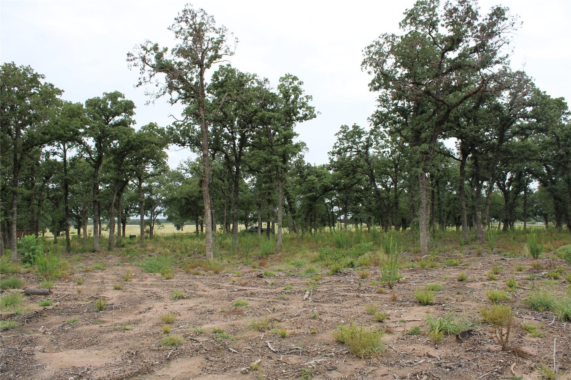 8.22 acres in McLennan County - photo 5