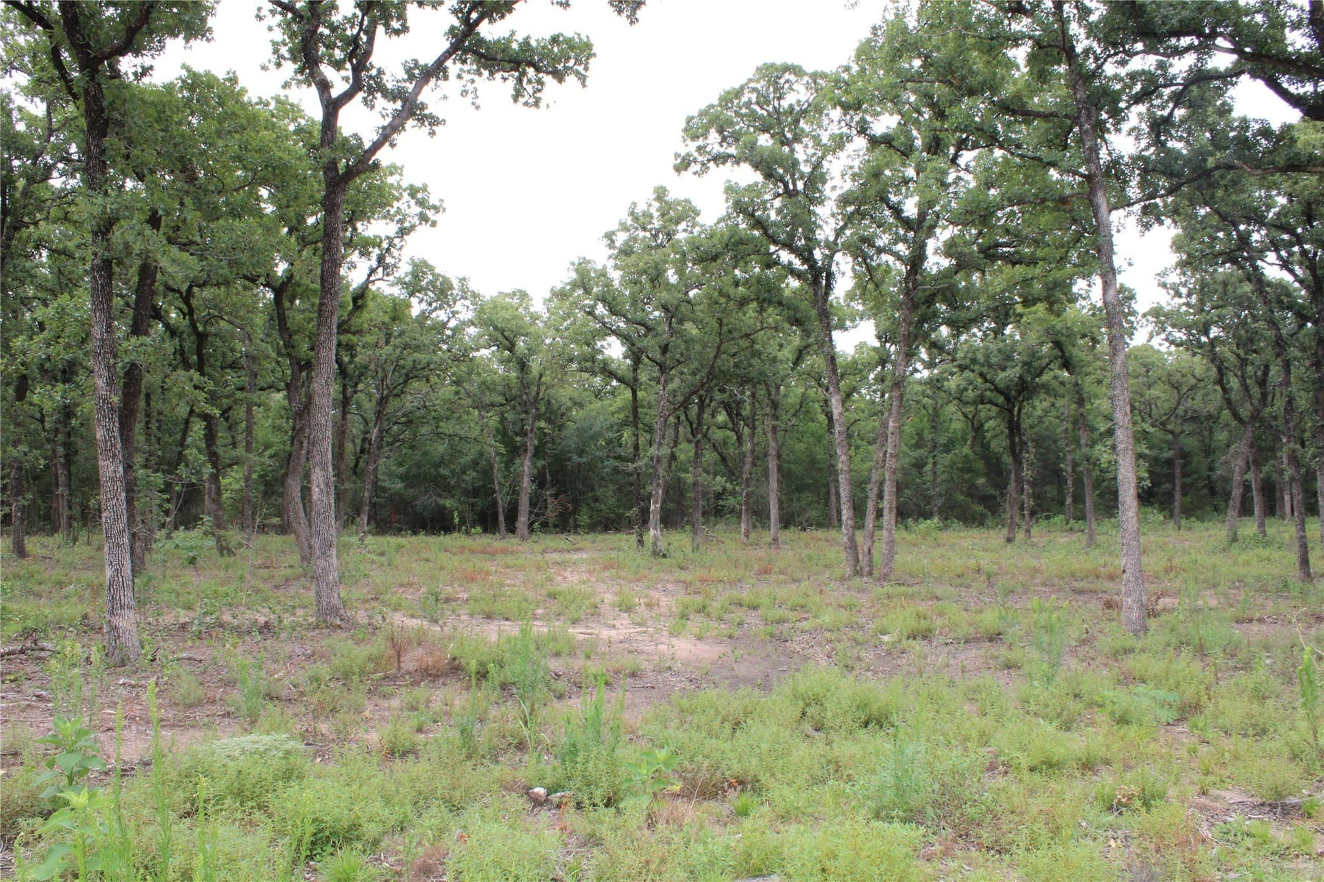 8.22 acres in McLennan County - photo 6