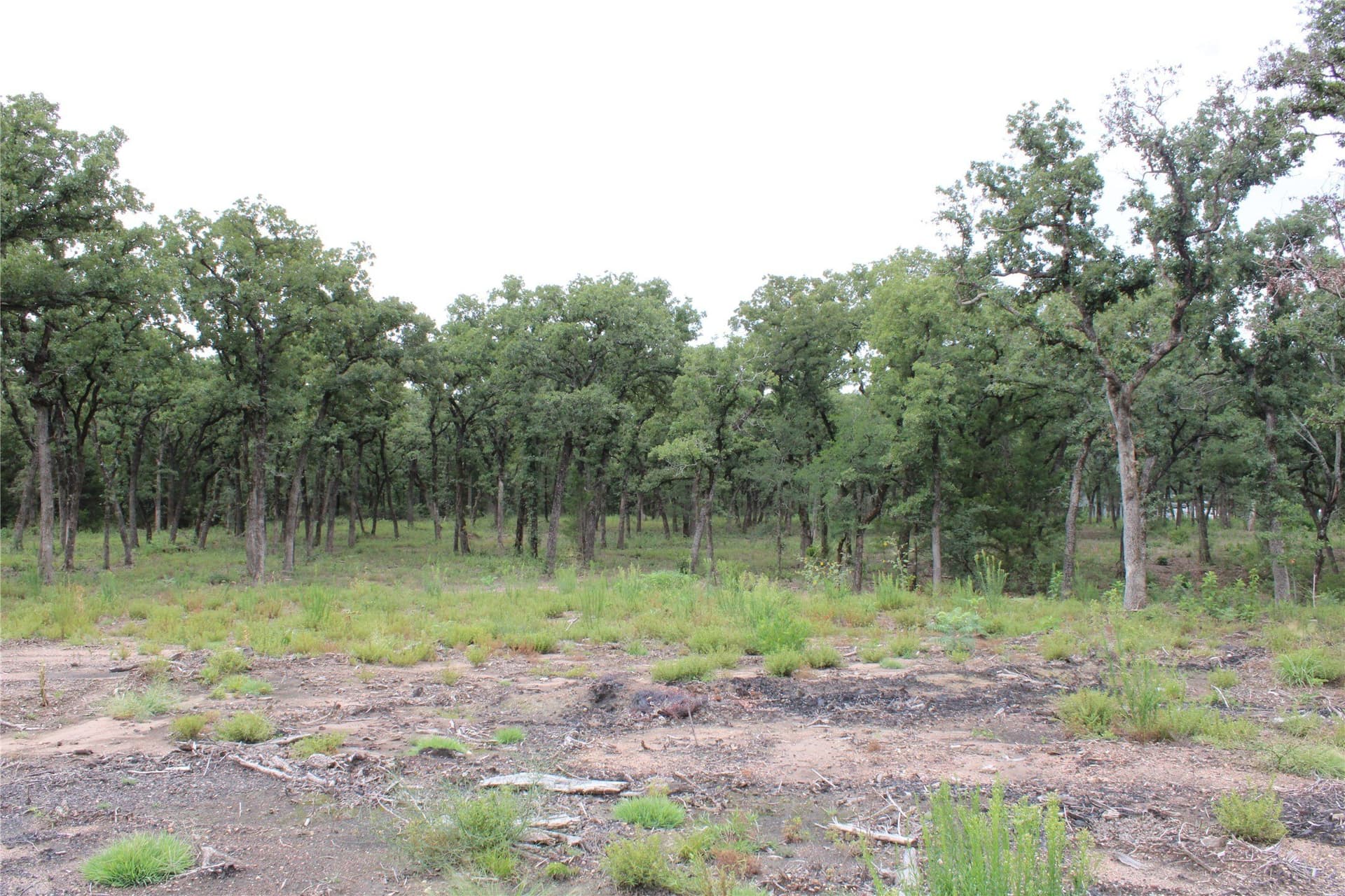 8.22 acres in McLennan County - photo 9