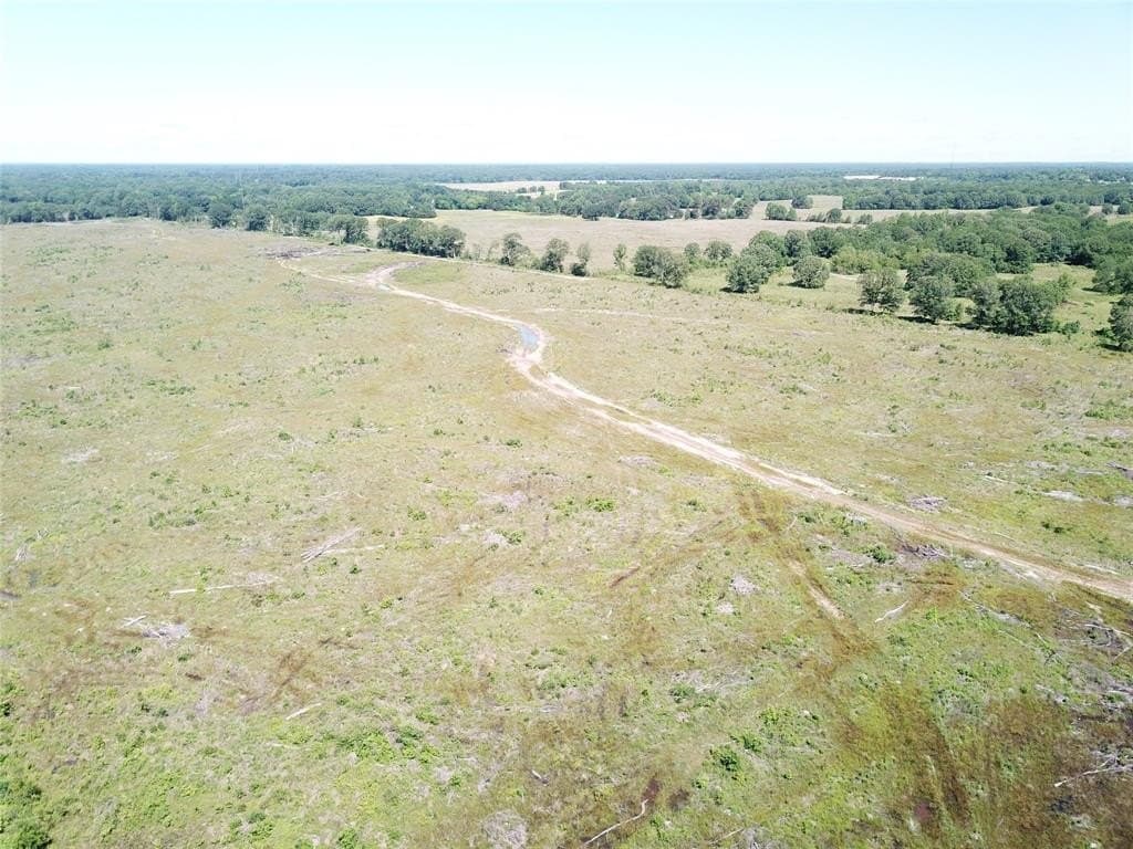 181.31 acres in Bowie County gallery image 2
