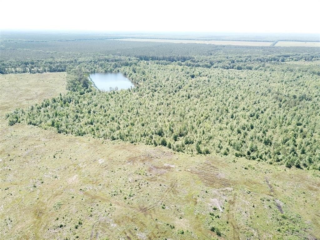 181.31 acres in Bowie County gallery image 4