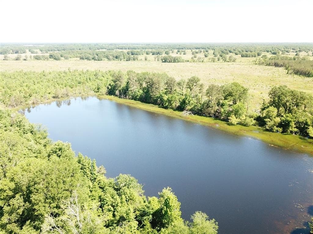 181.31 acres in Bowie County