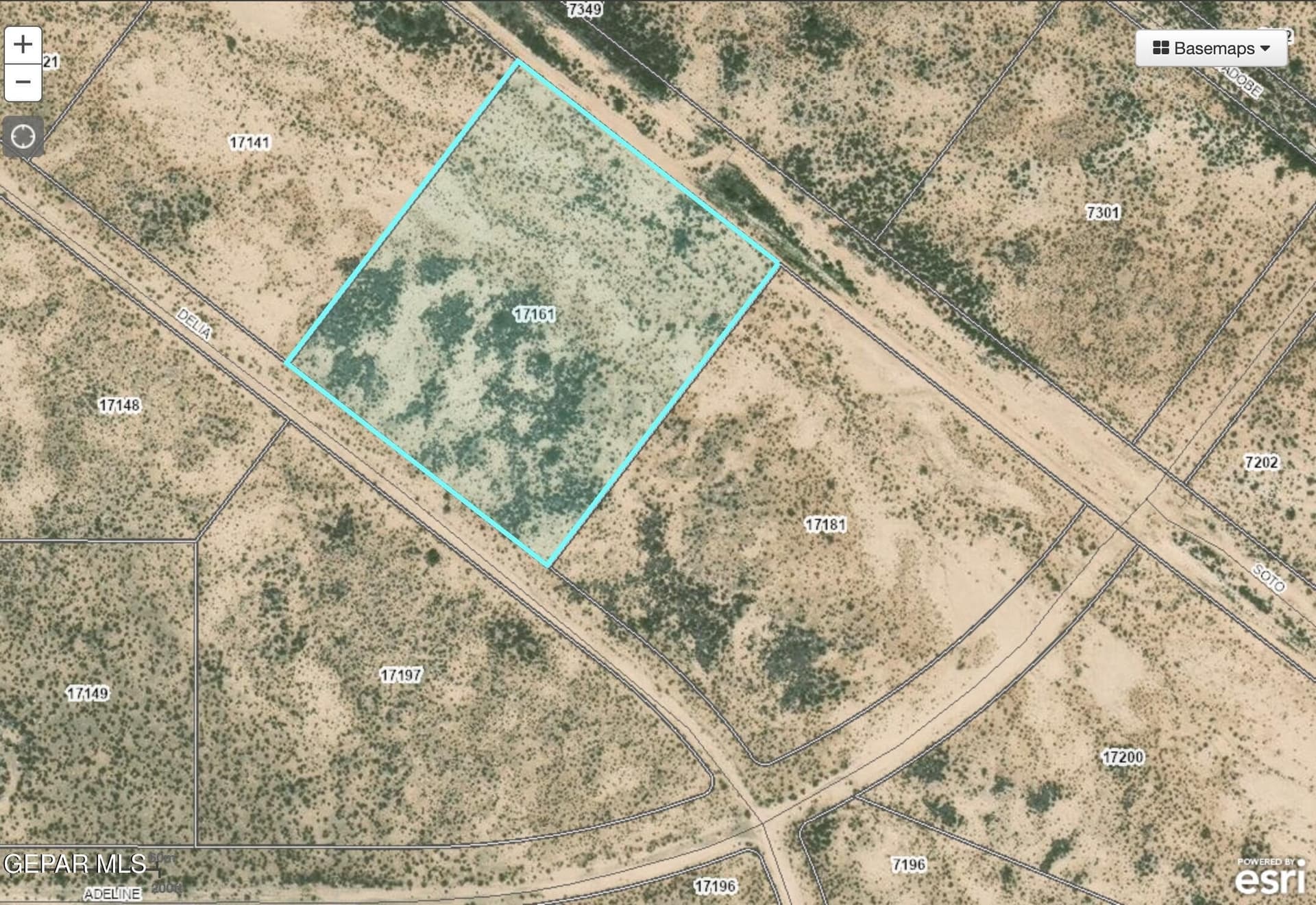 5.37 acres in El Paso County - photo 6